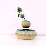 Air Bonsai