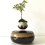 Air Bonsai