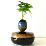 Air Bonsai