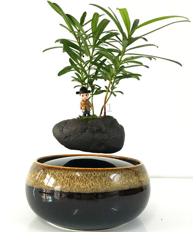 inflatable bonsai tree Air Bonsai – Son Dev Store
