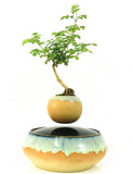 Air Bonsai