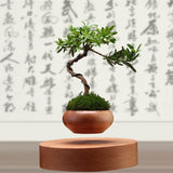 Air Bonsai