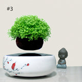 Air Bonsai