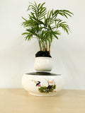 Air Bonsai