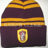 Harry Potter Hat